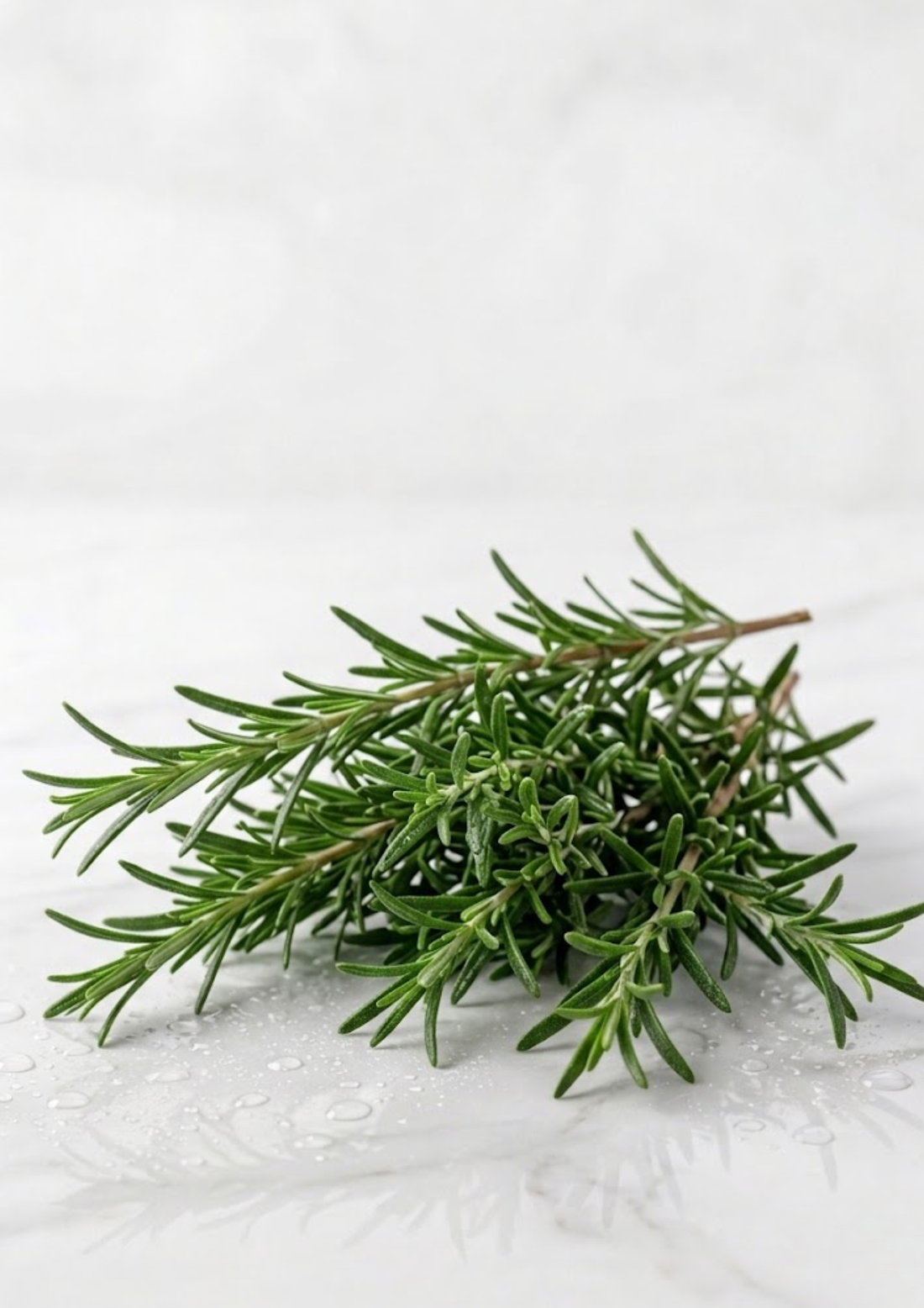Rosemary Oil for Hair Growth: The Science Behind It