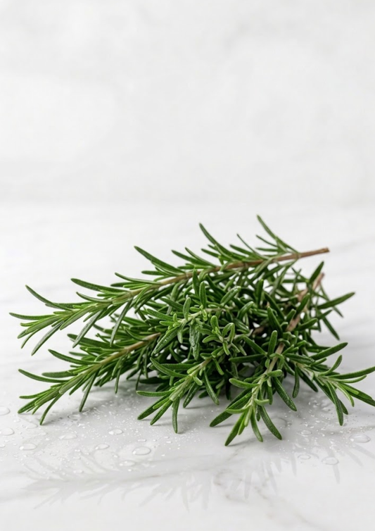 Rosemary Oil for Hair Growth: The Science Behind It